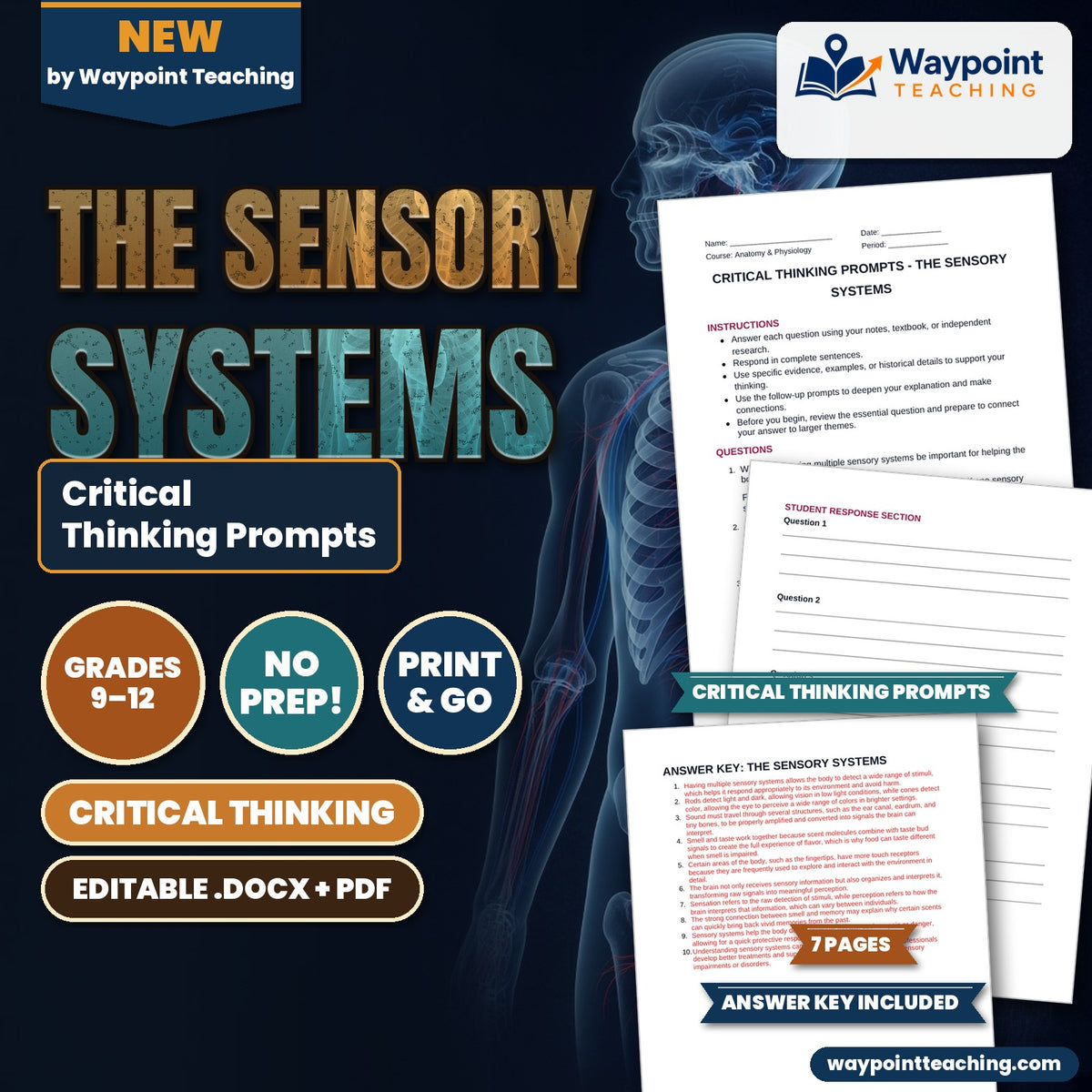 The Sensory Systems Critical Thinking Prompts cover