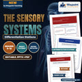 The Sensory Systems Differentiation Stations cover