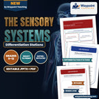 The Sensory Systems Differentiation Stations cover