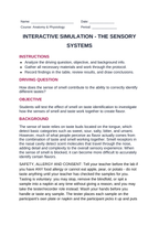 The Sensory Systems Interactive Simulation sample page