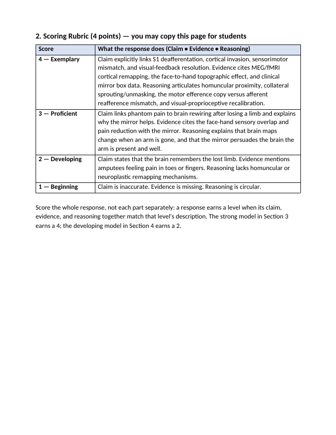 The Sensory Systems Model Response & Scoring Guide sample page