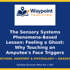 The Sensory Systems Phenomena-Based Lesson: Feeling a Ghost: Why Touching an Amputee's Face Triggers Sensations in a Missing Hand Student Response Sheet cover