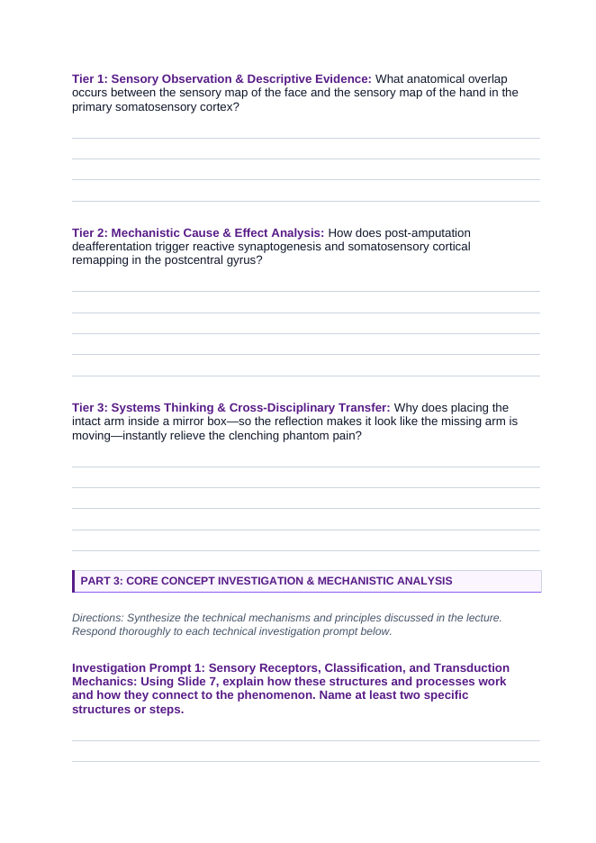 The Sensory Systems Phenomena-Based Lesson: Feeling a Ghost: Why Touching an Amputee's Face Triggers Sensations in a Missing Hand Student Response Sheet sample page