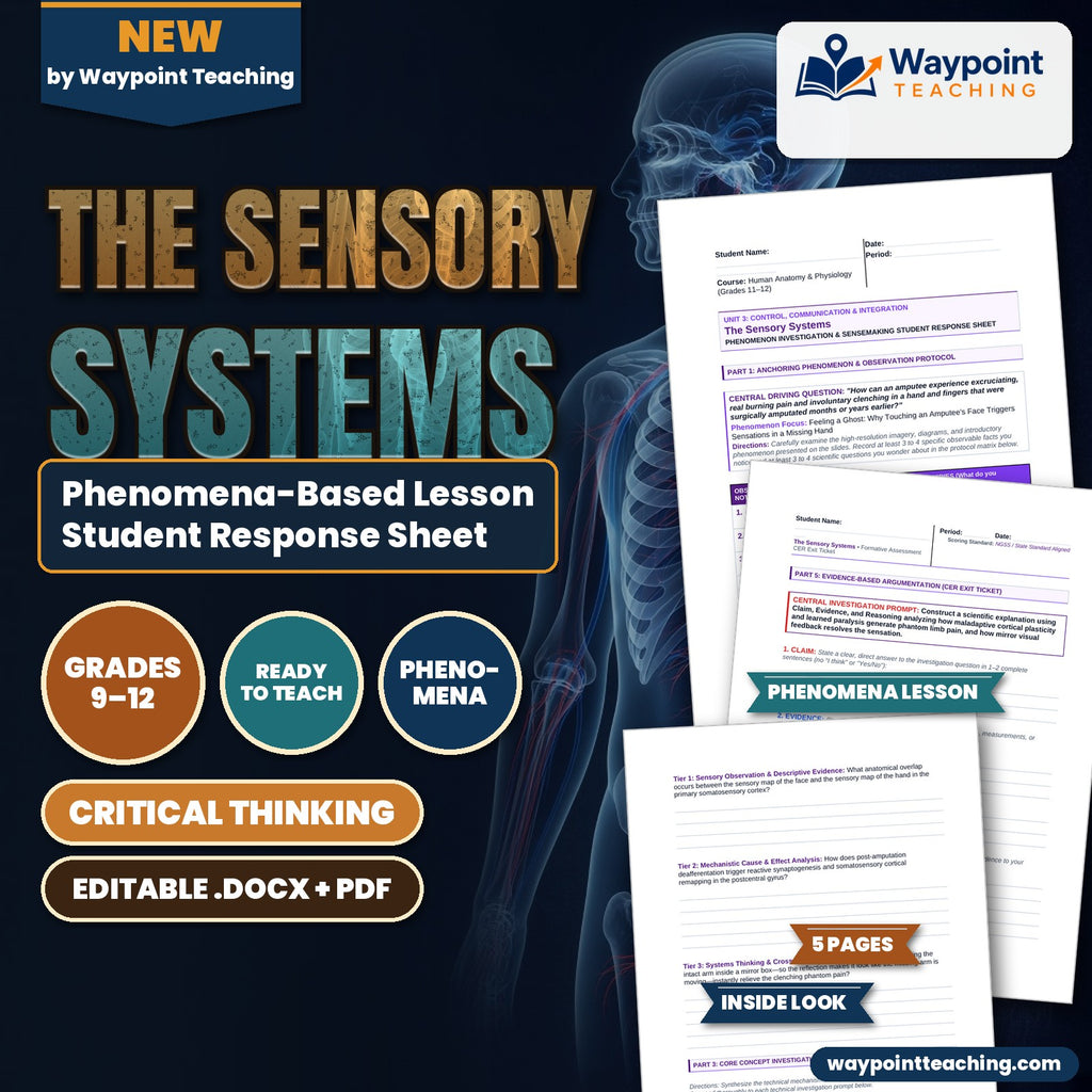 The Sensory Systems Phenomena-Based Lesson: Feeling a Ghost: Why Touching an Amputee's Face Triggers Sensations in a Missing Hand Student Response Sheet cover