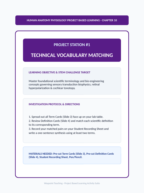The Sensory Systems Project-Based Learning Activity sample page