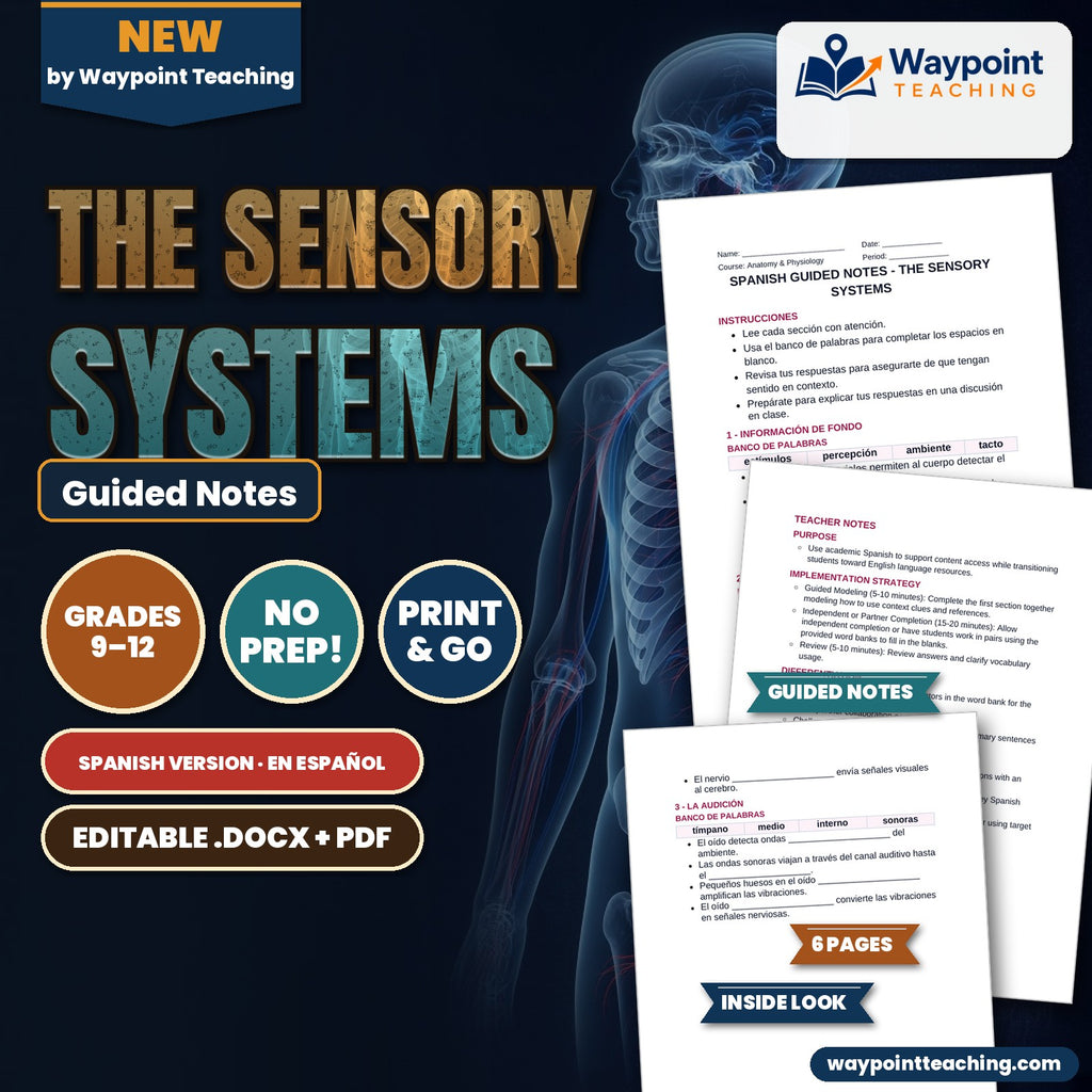 The Sensory Systems Spanish Guided Notes cover