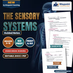 The Sensory Systems Spanish Guided Notes cover