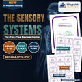 The Sensory Systems Tic-Tac-Toe Review Game cover