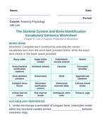 The Skeletal System Fill-in-the-Blank Vocabulary Worksheet sample page