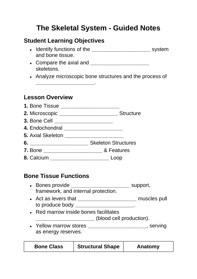 The Skeletal System Guided Notes sample page