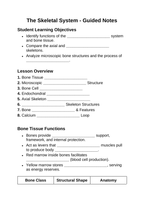 The Skeletal System Guided Notes sample page