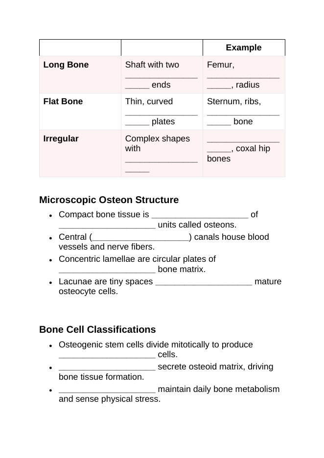 The Skeletal System Guided Notes sample page