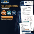 The Skeletal System Guided Notes cover