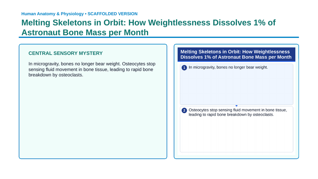 The Skeletal System Scaffolded Phenomena-Based Lesson: Melting Skeletons in Orbit: How Weightlessness Dissolves 1% of Astronaut Bone Mass per Month Presentation sample page
