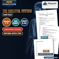 The Skeletal System Spanish Unit Test cover