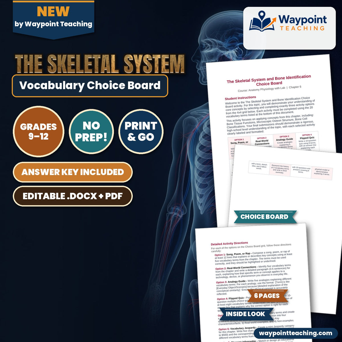 The Skeletal System Vocabulary Choice Board cover