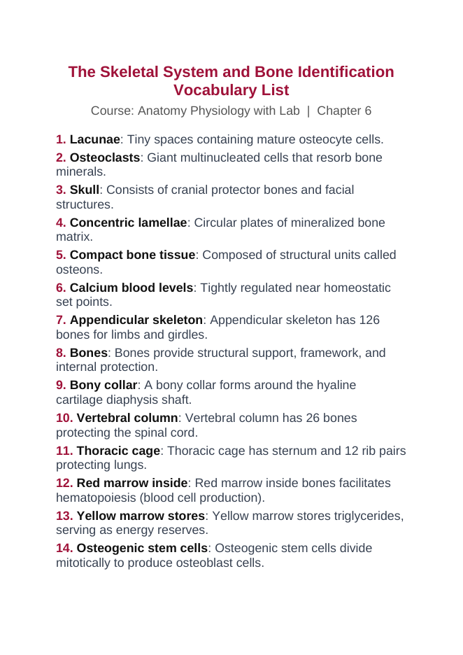 The Skeletal System Vocabulary Words & Definitions sample page