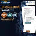 The Skeletal System Vocabulary Words & Definitions cover