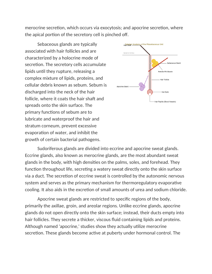 The Structure and Function of Glands Hair and Nails Reading Worksheet sample page