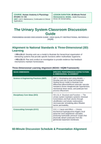 The Urinary System Phenomena-Based Lesson: Glomerular Breakdown: Diabetic Hyperfiltration and Podocyte Slit Effacement Teacher Discussion Guide sample page