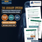 The Urinary System Phenomena-Based Lesson: Glomerular Breakdown: Diabetic Hyperfiltration and Podocyte Slit Effacement Teacher Discussion Guide cover