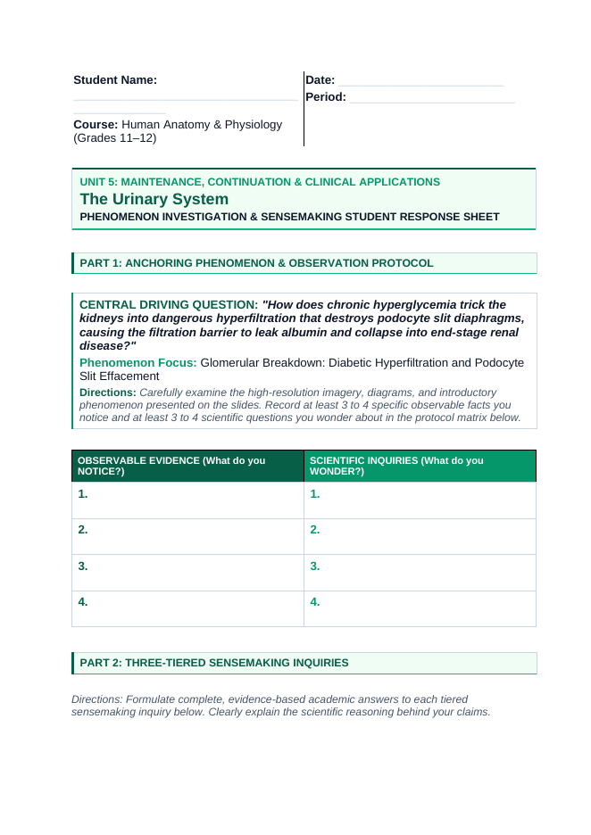 The Urinary System Phenomena-Based Lesson: Glomerular Breakdown: Diabetic Hyperfiltration and Podocyte Slit Effacement Student Response Sheet sample page