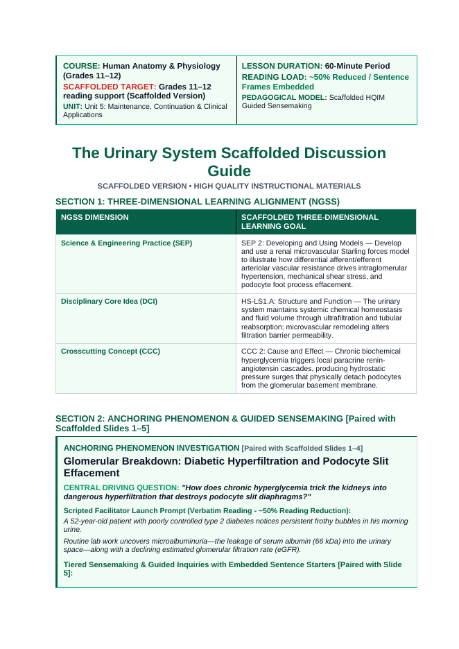 The Urinary System Scaffolded Phenomena-Based Lesson: Glomerular Breakdown: Diabetic Hyperfiltration and Podocyte Slit Effacement Teacher Discussion Guide sample page