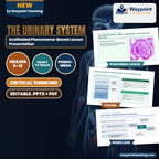 The Urinary System Scaffolded Phenomena-Based Lesson: Glomerular Breakdown: Diabetic Hyperfiltration and Podocyte Slit Effacement Presentation cover