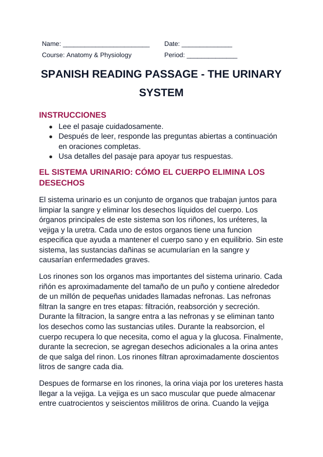The Urinary System Spanish Reading Passage & Comprehension Questions sample page