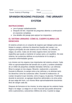 The Urinary System Spanish Reading Passage & Comprehension Questions sample page