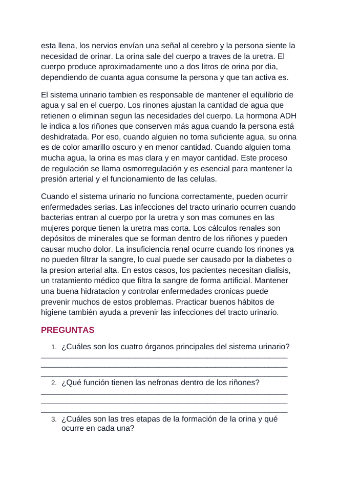 The Urinary System Spanish Reading Passage & Comprehension Questions sample page