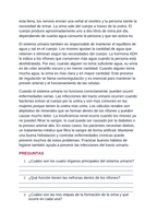 The Urinary System Spanish Reading Passage & Comprehension Questions sample page
