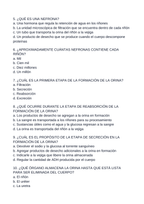 The Urinary System Spanish Unit Test sample page