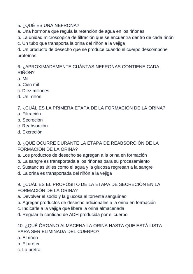 The Urinary System Spanish Unit Test sample page