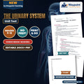 The Urinary System Spanish Unit Test cover