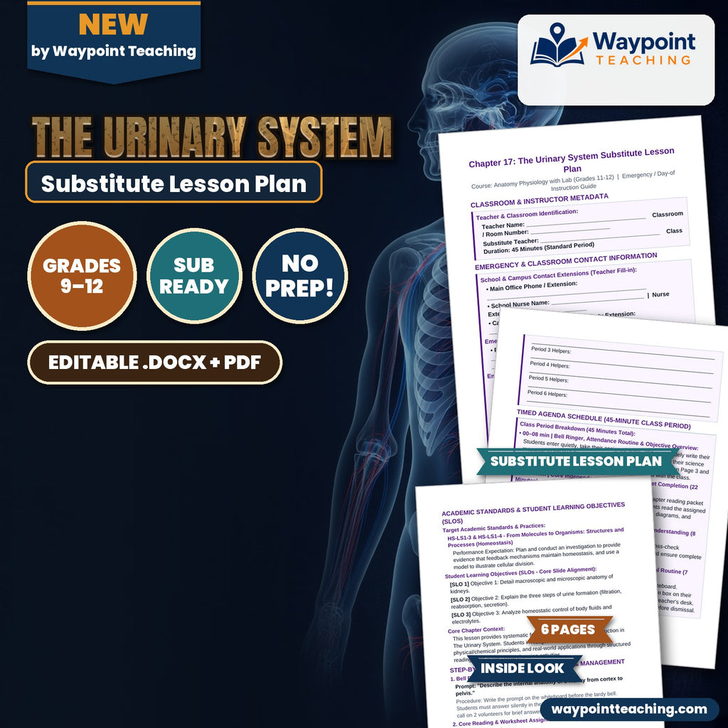 The Urinary System Substitute Lesson Plan cover