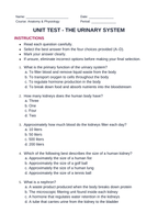 The Urinary System Unit Test sample page