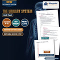 The Urinary System Unit Test cover