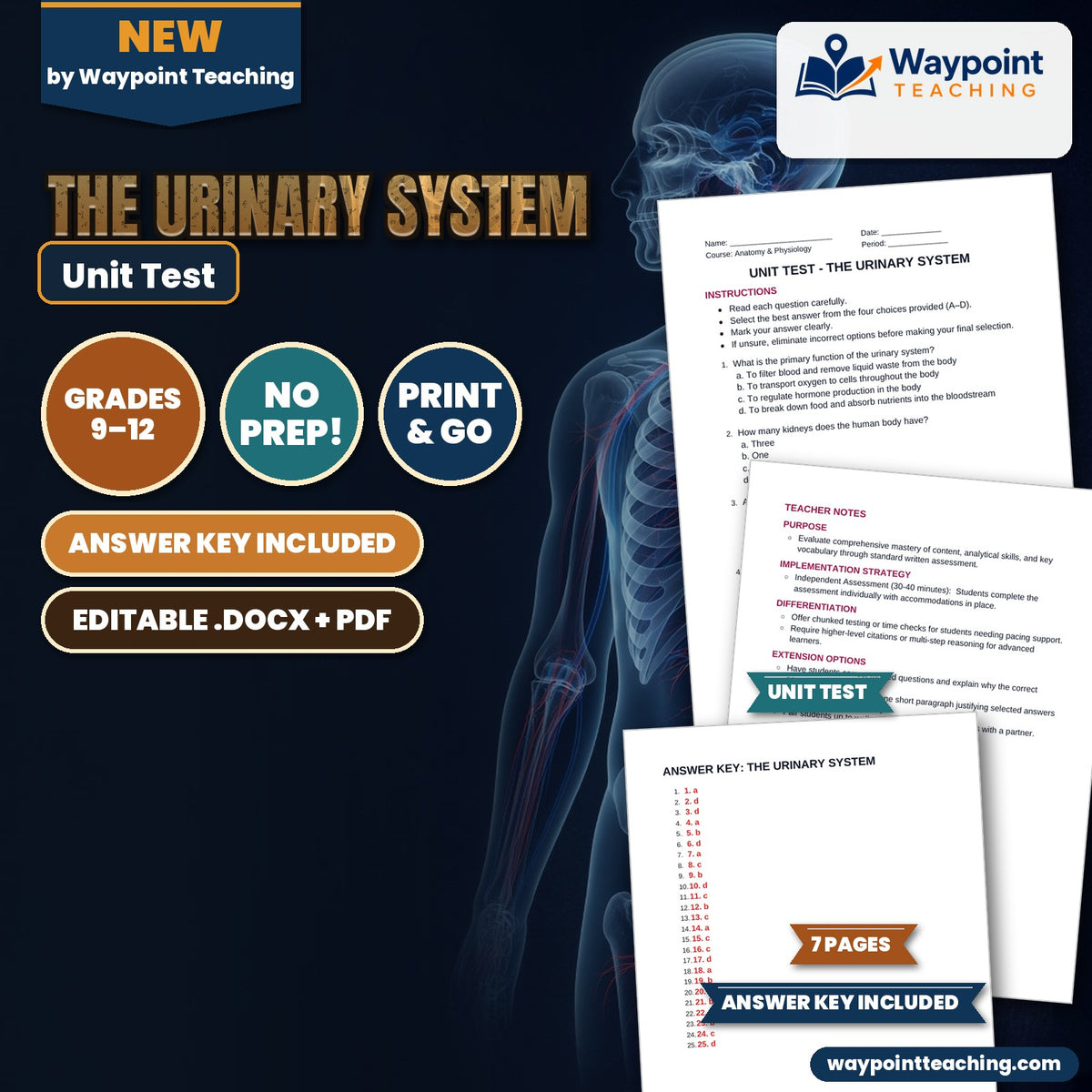 The Urinary System Unit Test cover