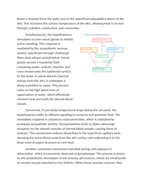 Thermoregulation and Skin Feedback Mechanisms Reading Worksheet sample page