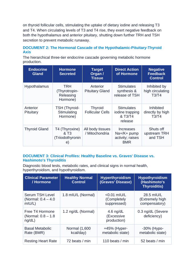 Thyroid Hormone and Metabolism: Negative Feedback in Hyperthyroidism vs. Hypothyroidism CER Phenomena Worksheet sample page