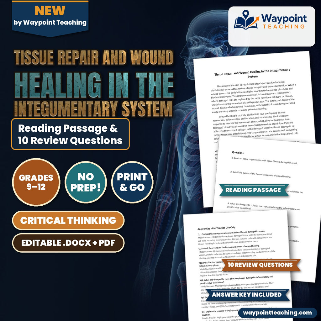 Tissue Repair and Wound Healing in the Integumentary System Reading Worksheet cover