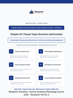 Tissues: Types, Structure, & Function Project-Based Learning Activity sample page