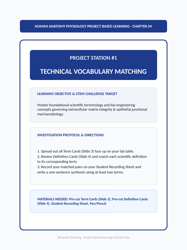 Tissues: Types, Structure, & Function Project-Based Learning Activity sample page