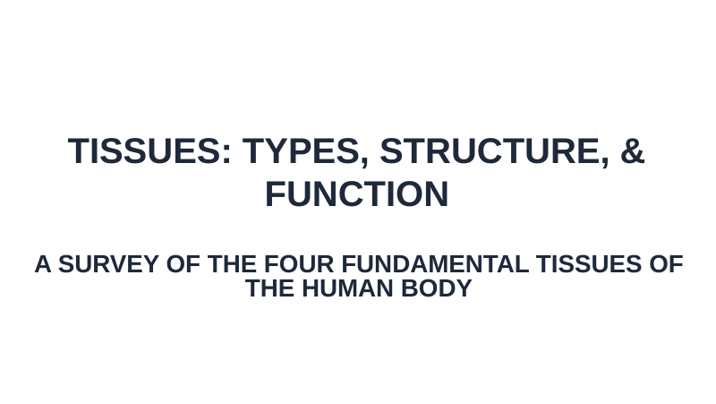 Tissues: Types, Structure, & Function Substitute Slideshow & Teacher Guide sample page