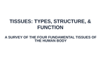Tissues: Types, Structure, & Function Substitute Slideshow & Teacher Guide sample page