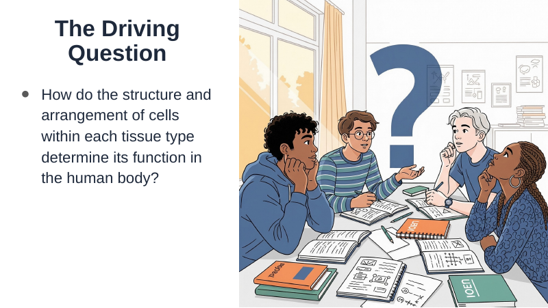 Tissues: Types, Structure, & Function Substitute Slideshow & Teacher Guide sample page