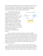 Tracing Carbon Hydrogen and Oxygen in Biological Molecules Reading Worksheet sample page