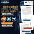 Tracing Carbon Hydrogen and Oxygen in Biological Molecules Reading Worksheet cover