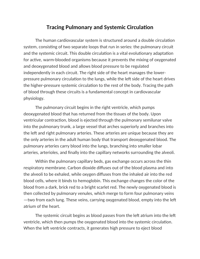 Tracing Pulmonary and Systemic Circulation Reading Worksheet sample page